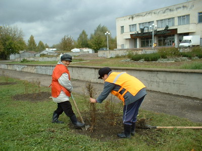 11:00 В городе Шумерле продолжаются озеленительные мероприятия в рамках осеннего этапа Дня дерева